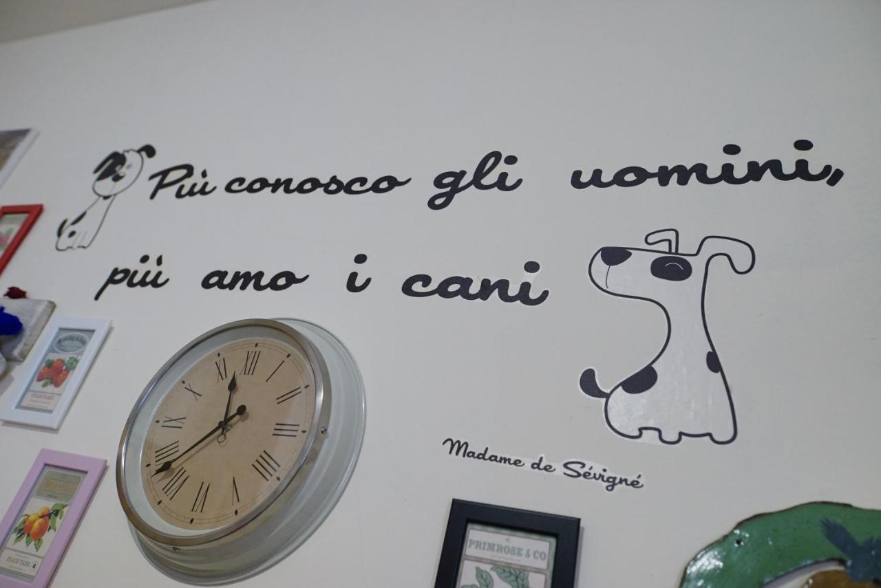 La Casa Di Zia Mimina Bed & Breakfast Civitella Casanova Eksteriør bilde
