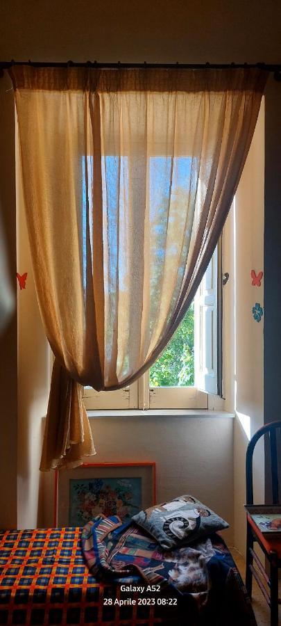 La Casa Di Zia Mimina Bed & Breakfast Civitella Casanova Eksteriør bilde